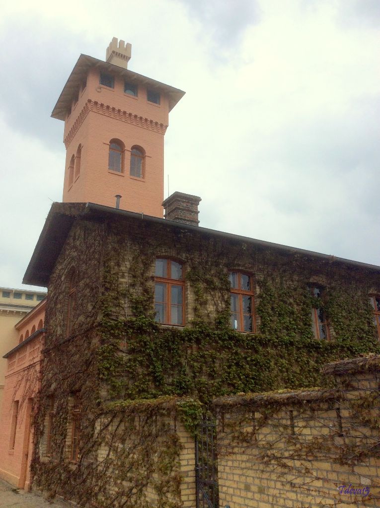 Spaziergang in Sanssouci 2015
