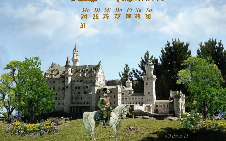 Vachroi’s Jahreskalender 2015 – 35. KW
