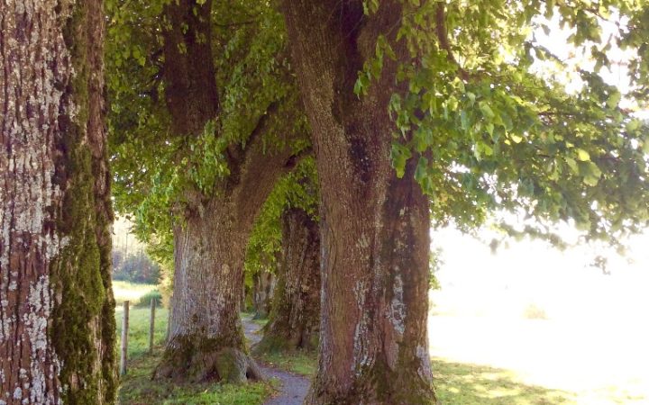 Der Weg und das Ziel!