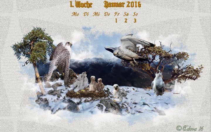 Vachroi’s Jahreskalender 2016 – 1. Januarwoche