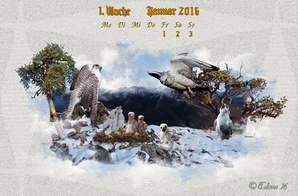 Vachroi’s Jahreskalender 2016 – 1. Januarwoche