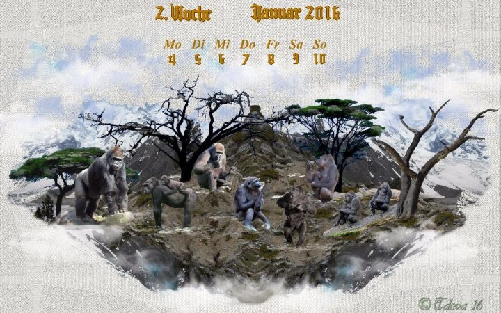Vachroi’s Jahreskalender 2016 – 2. Januarwoche