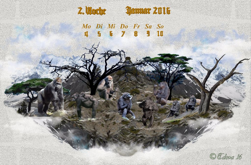Vachroi’s Jahreskalender 2016 – 2. Januarwoche