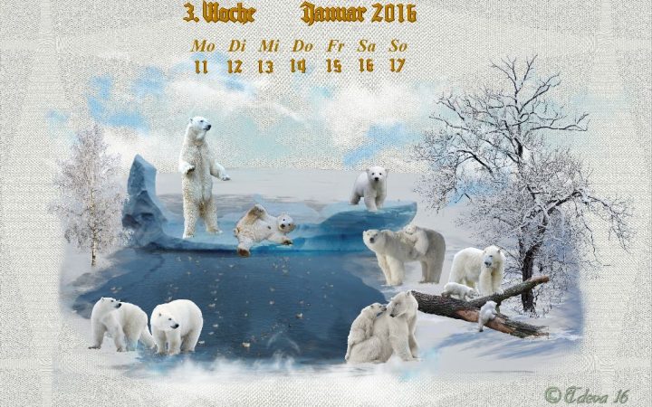 Vachroi’s Jahreskalender 2016 – 3. Januarwoche