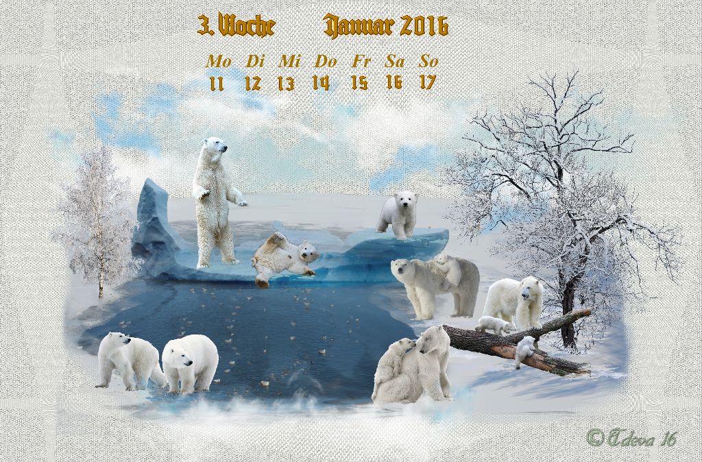 Vachroi’s Jahreskalender 2016 – 3. Januarwoche