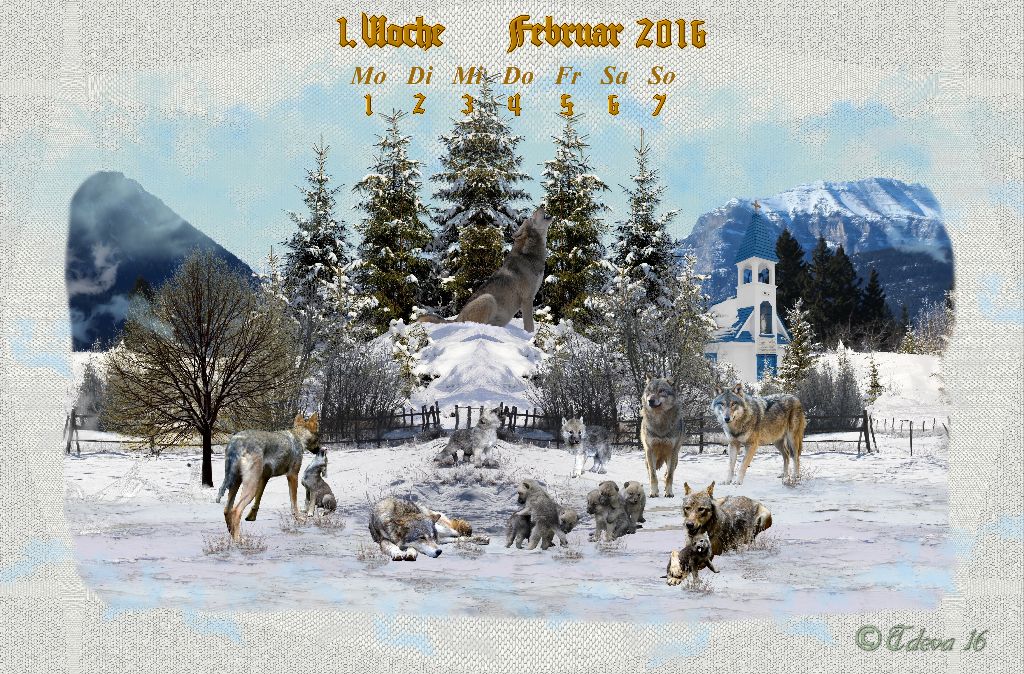 Vachroi’s Jahreskalender 2016 – 1. Februarwoche