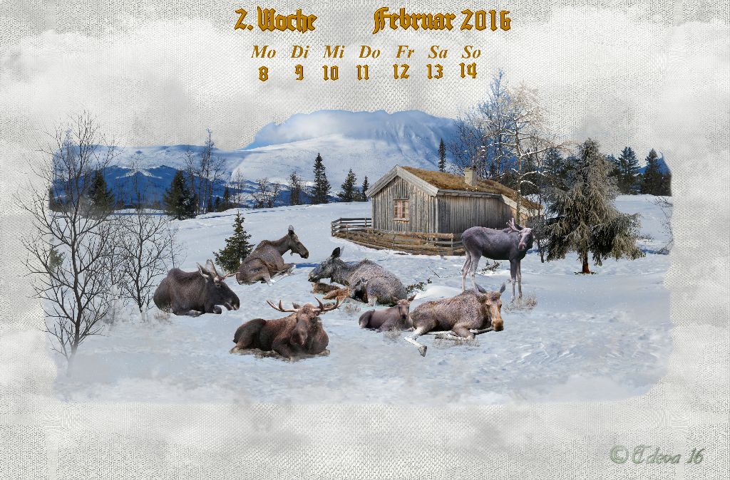 Vachroi’s Jahreskalender 2016 – 2. Februarwoche
