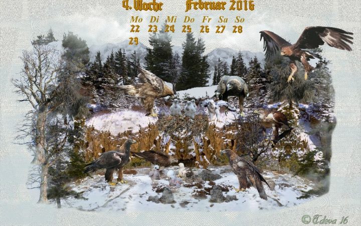 Vachroi’s Jahreskalender 2016 – 4. Februarwoche