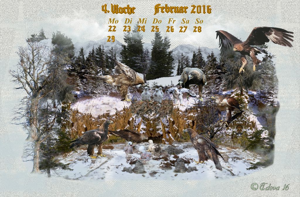 Vachroi’s Jahreskalender 2016 – 4. Februarwoche