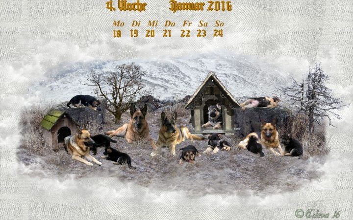 Vachroi’s Jahreskalender 2016 – 4. Januarwoche