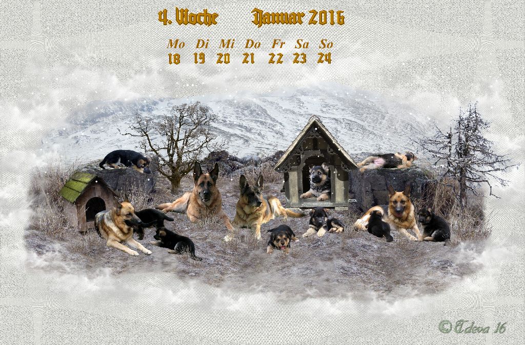 Vachroi’s Jahreskalender 2016 – 4. Januarwoche