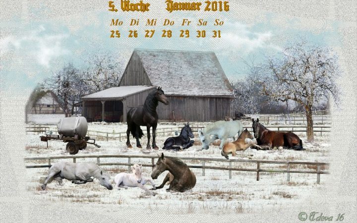 Vachroi’s Jahreskalender 2016 – 5. Januarwoche