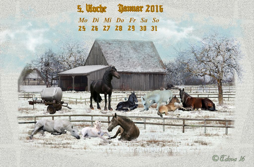 Vachroi’s Jahreskalender 2016 – 5. Januarwoche