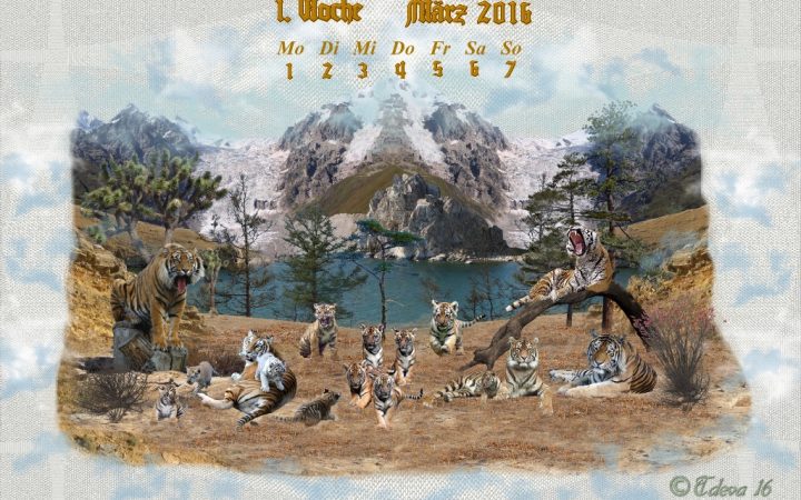 Vachroi’s Jahreskalender 2016 – 1. Märzwoche