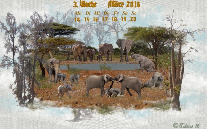 Vachroi’s Jahreskalender 2016 – 3. Märzwoche