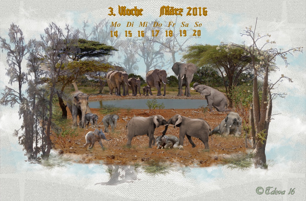 Vachroi’s Jahreskalender 2016 – 3. Märzwoche