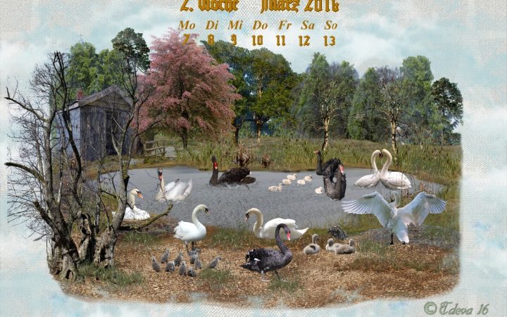 Vachroi’s Jahreskalender 2016 – 2. Märzwoche