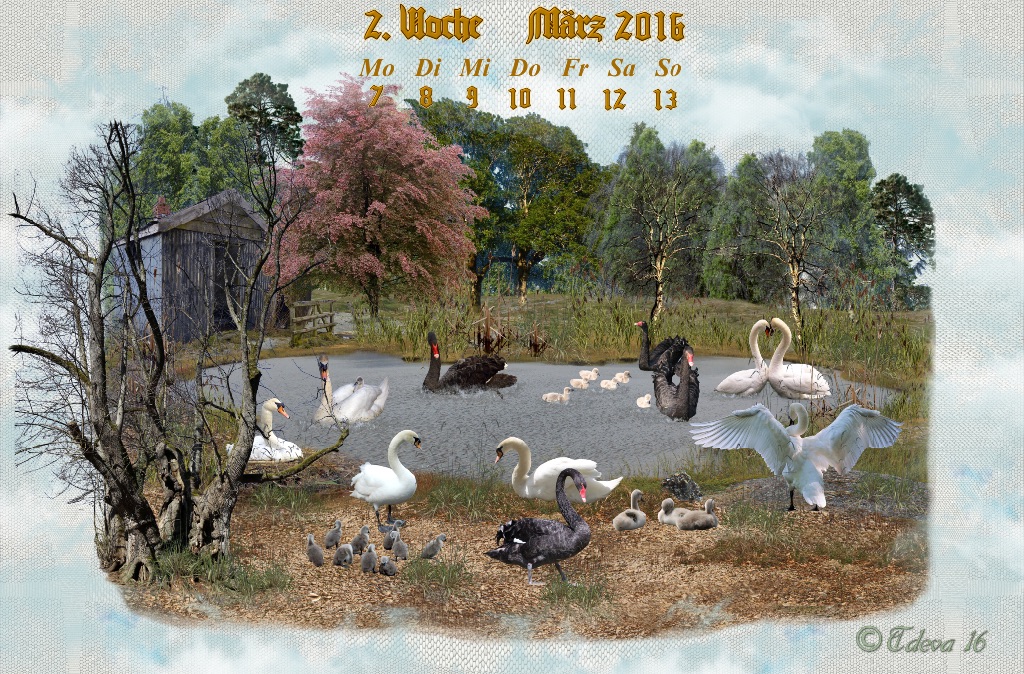 Vachroi’s Jahreskalender 2016 – 2. Märzwoche