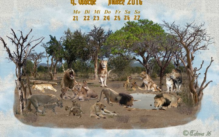Vachroi’s Jahreskalender 2016 – 4. Märzwoche