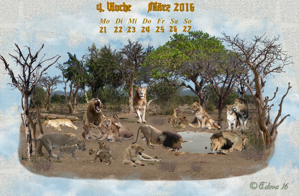 Vachroi’s Jahreskalender 2016 – 4. Märzwoche