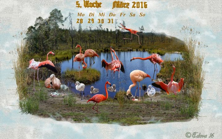 Vachroi’s Jahreskalender 2016 – 5. Märzwoche