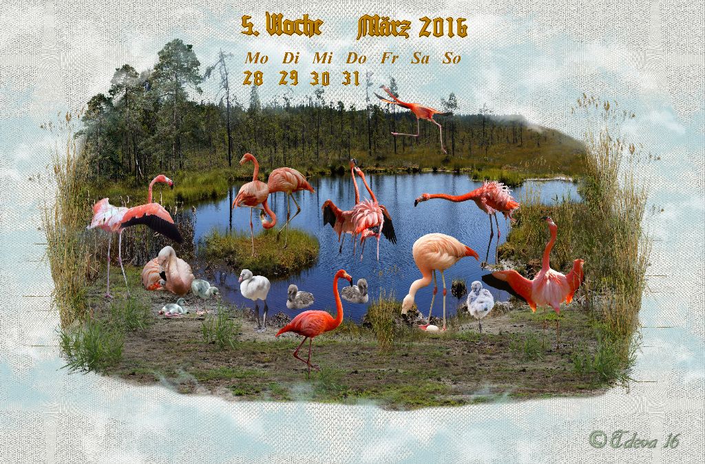 Vachroi’s Jahreskalender 2016 – 5. Märzwoche