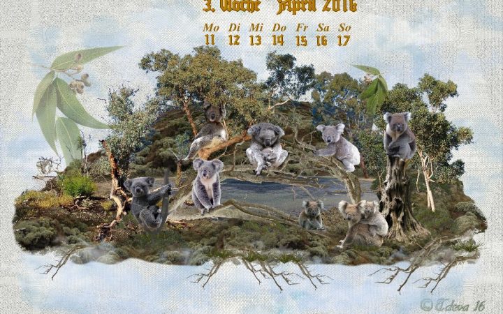 Vachroi’s Jahreskalender 2016 – 3. Aprilwoche