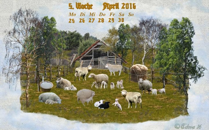 Vachroi’s Jahreskalender 2016 – 5. Aprilwoche