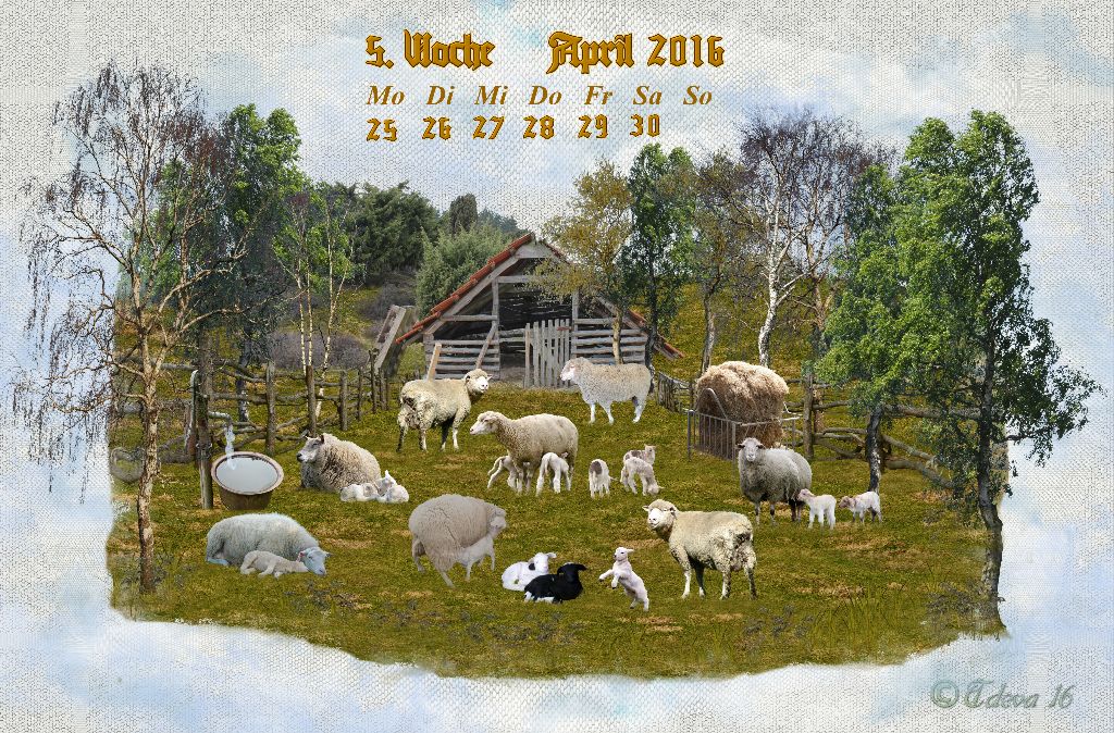 Vachroi’s Jahreskalender 2016 – 5. Aprilwoche
