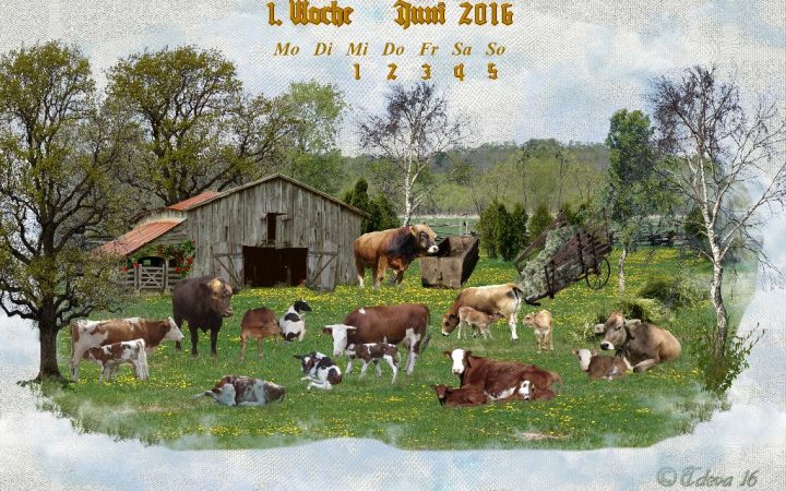 Vachroi’s Jahreskalender 2016 – 1. Juniwoche