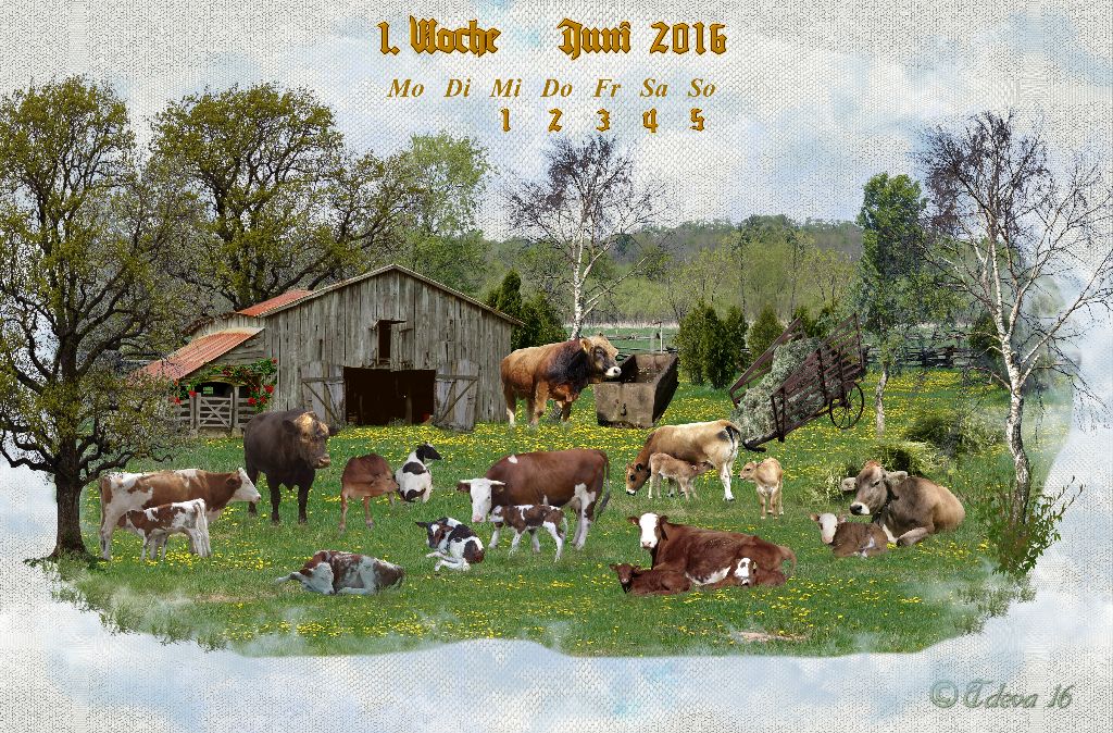Vachroi’s Jahreskalender 2016 – 1. Juniwoche