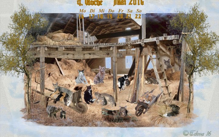Vachroi’s Jahreskalender 2016 – 4. Maiwoche