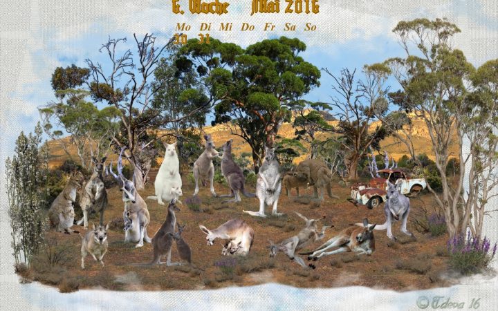 Vachroi’s Jahreskalender 2016 – 6. Maiwoche