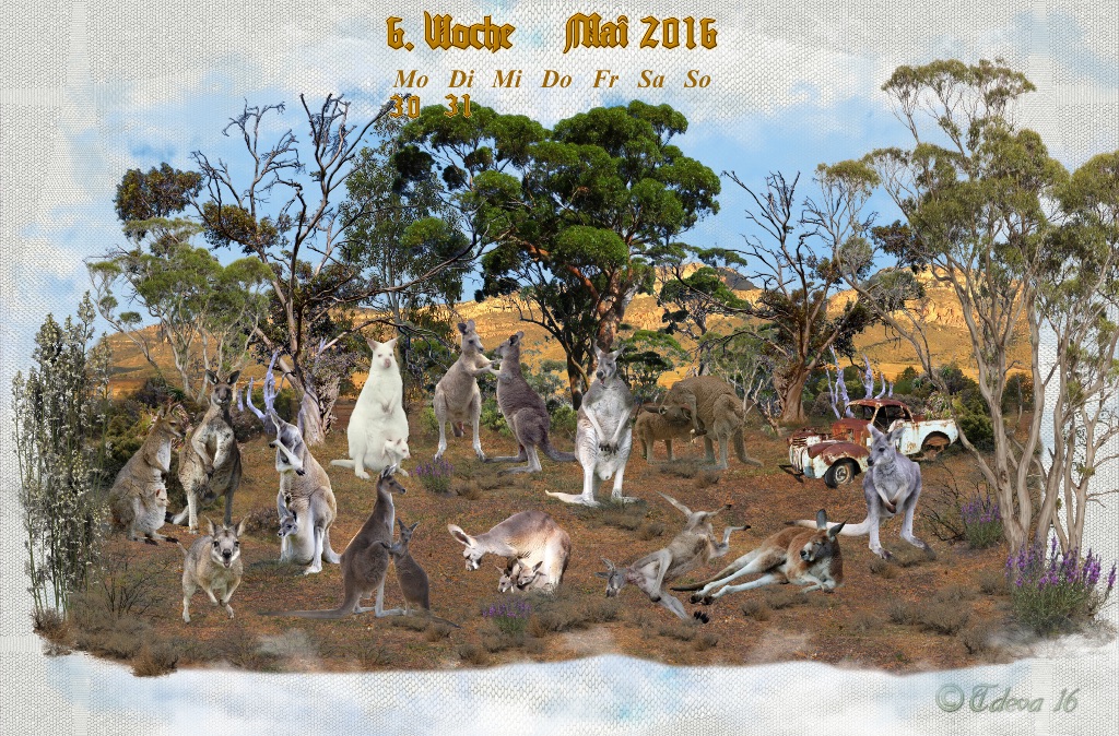 Vachroi’s Jahreskalender 2016 – 6. Maiwoche