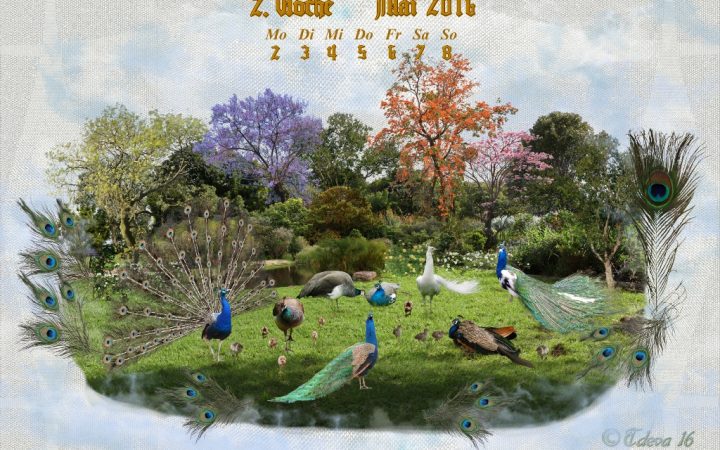 Vachroi’s Jahreskalender 2016 – 2. Maiwoche