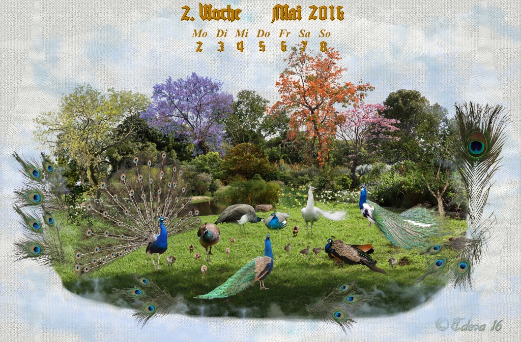 Vachroi’s Jahreskalender 2016 – 2. Maiwoche