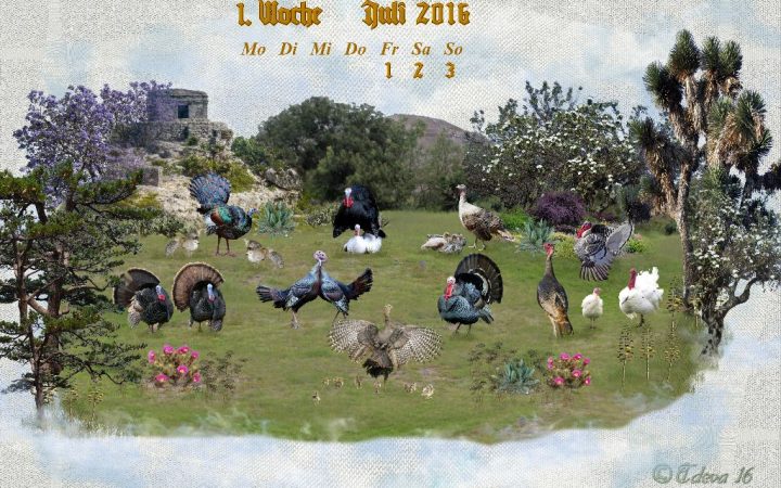 Vachroi’s Jahreskalender – 1. Juliwoche