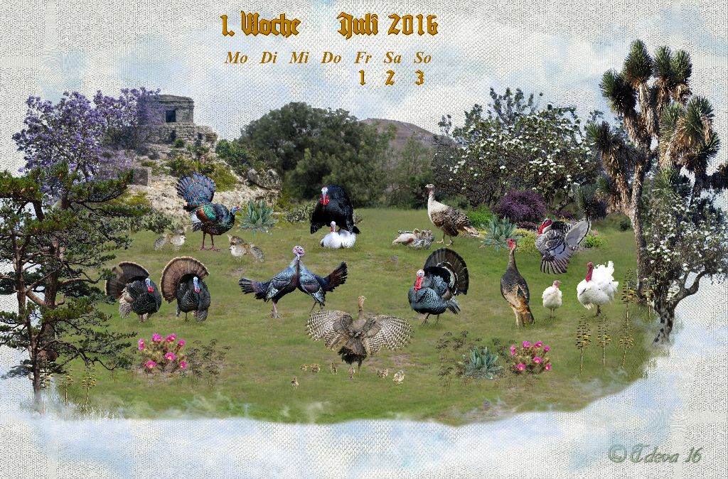 Vachroi’s Jahreskalender – 1. Juliwoche