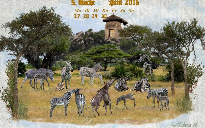 Vachroi’s Jahreskalender 2016 – 5. Juniwoche