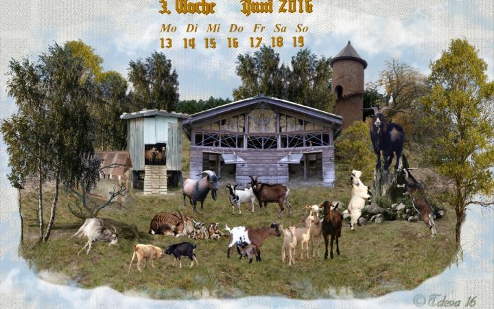 Vachroi’s Jahreskalender 2016 – 3. Juniwoche