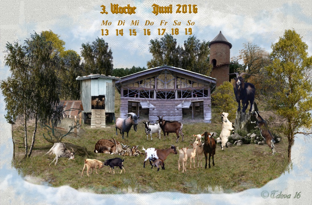 Vachroi’s Jahreskalender 2016 – 3. Juniwoche