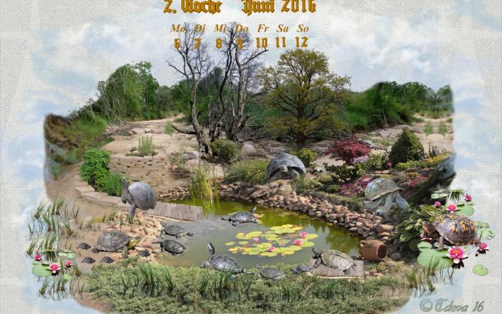 Vachroi’s Jahreskalender 2016 – 2. Juniwoche