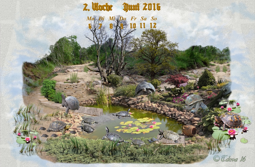 Vachroi’s Jahreskalender 2016 – 2. Juniwoche