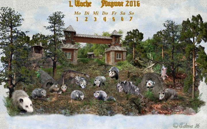 Vachroi’s Jahreskalender 2016 – 1. Augustwoche