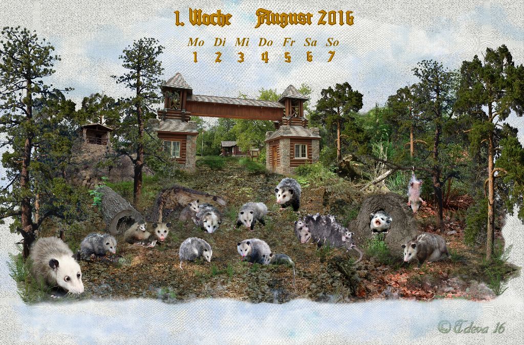 Vachroi’s Jahreskalender 2016 – 1. Augustwoche