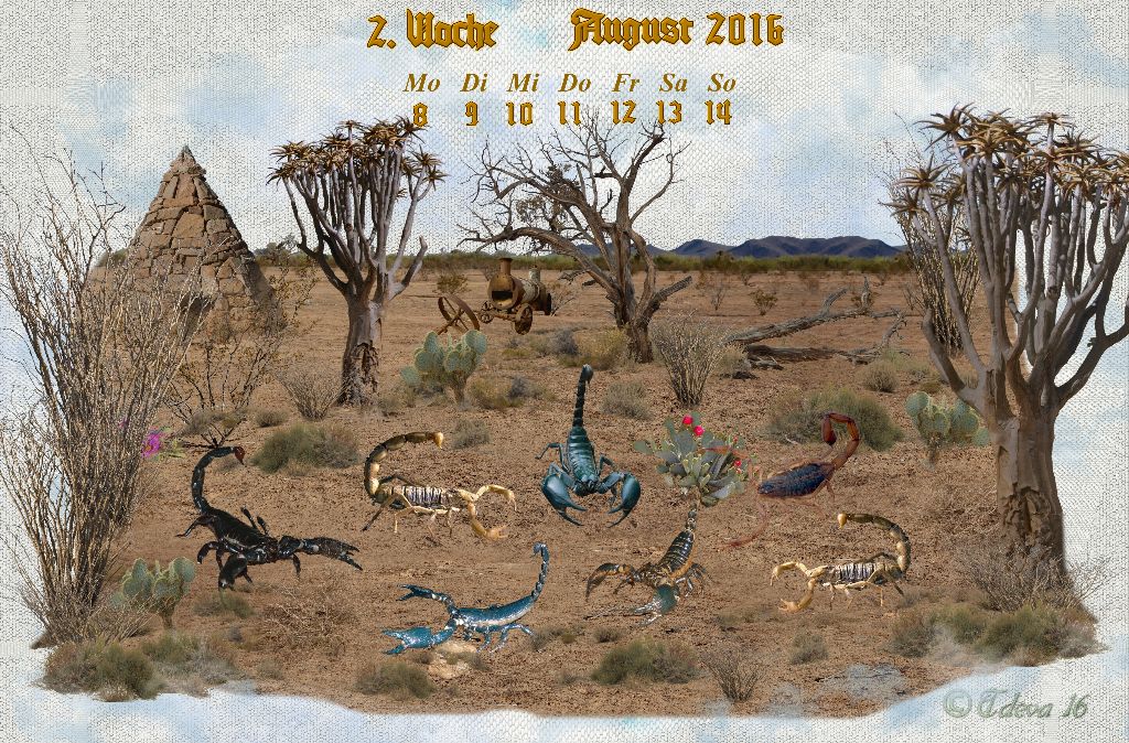 Vachroi’s Jahreskalender 2016 – 2. Augustwoche