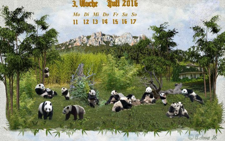 Vachroi’s Jahreskalender 2016 – 3. Juliwoche