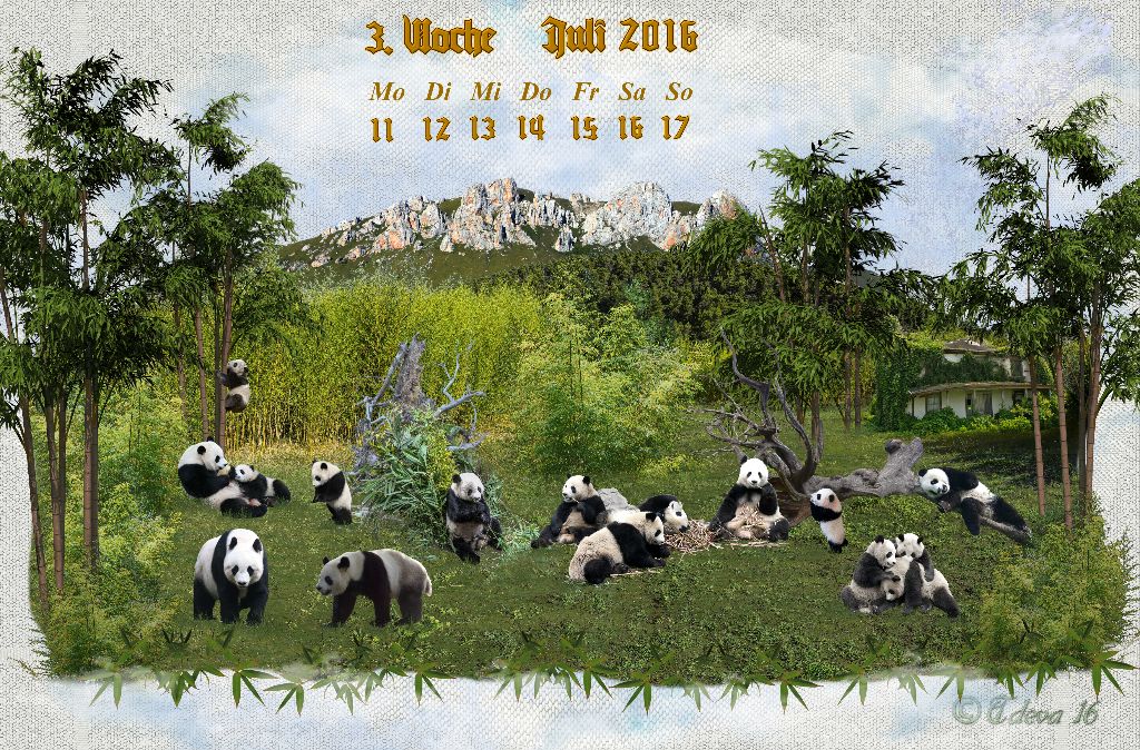 Vachroi’s Jahreskalender 2016 – 3. Juliwoche