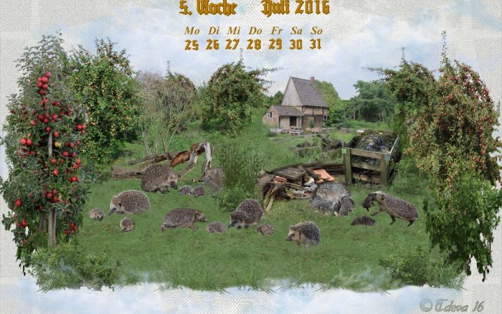 Vachroi’s Jahreskalender 2016 – 5. Juliwoche