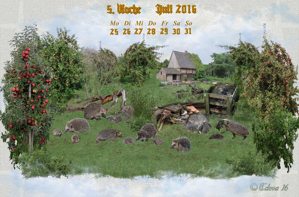 Vachroi’s Jahreskalender 2016 – 5. Juliwoche